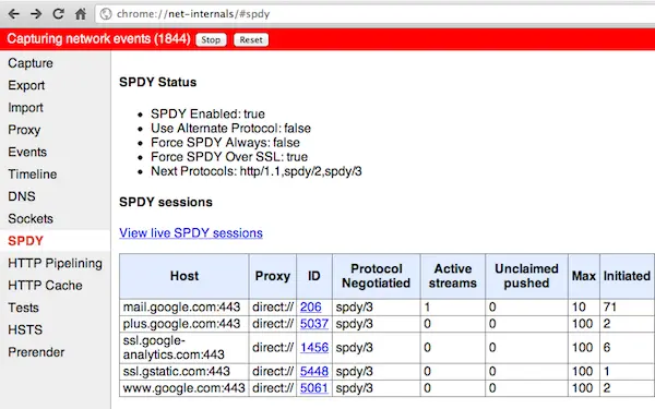 Chrome's SPDY inspector